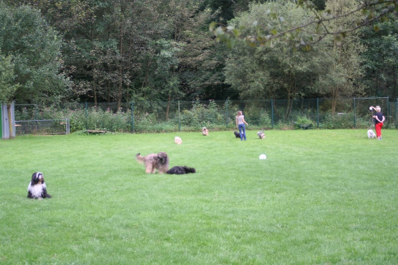 ../Images/Bild 019.jpg